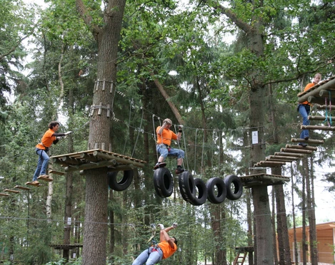 Kletterwald Menschen klettern in einem Wald auf spannenden Seilkonstruktionen und genießen ein Abenteuer.