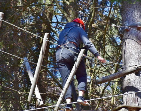 Kletterwald Ein Mensch klettert im Kletterwald auf einem Seilparcours zwischen Bäumen.