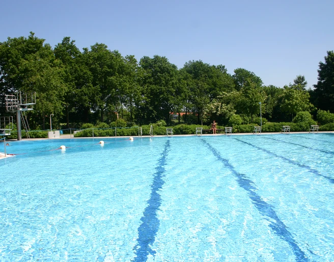 Freibad Ein großes, glitzerndes Freibad mit türkisblauem Wasser, umgeben von üppigem Grün.