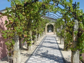 Natursteingarten Dubiel Ein lauschiger Weg unter einer Pergola aus Weinreben, mit elegant gefliesten Steinplatten und Sonnenlicht.
