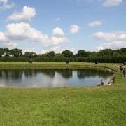 Almsee Auf dem Bild "Almsee" ist ein ruhiger See zu erkennen, umgeben von grünen Wiesen und Bäumen. Einige Menschen spazieren am Ufer entlang und genießen die Natur. Der Himmel ist klar mit ein paar vereinzelten Wolken.