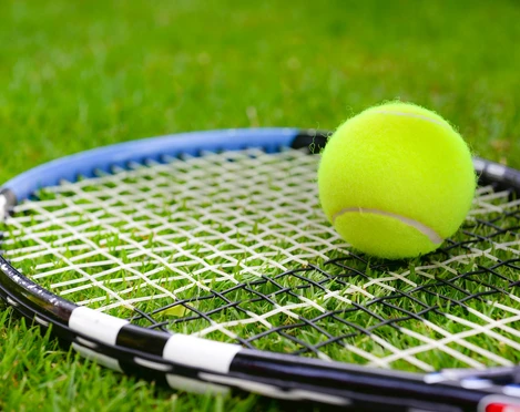 Tennis Ein Tennisschläger liegt diagonal auf grünem Rasen, daneben ein leuchtend gelber Tennisball.