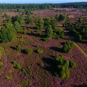 Luftbildaufnahme Rehrhofer Heide