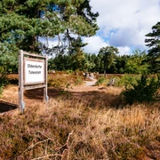 Oldendorfer Totenstatt