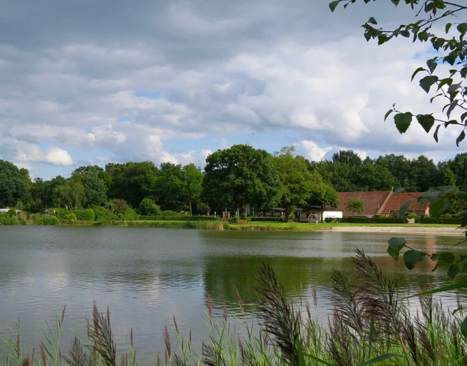 Vor einem sanft wellenden Gewässer liegt ein idyllischer Campingplatz, umrahmt von üppigem Grün.