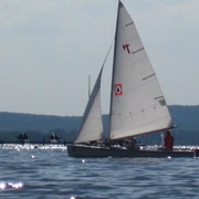 Sommerfeeling auf dem Steinhuder Meer Segelboot mit weißen Segeln gleitet über das glitzernde Wasser des Steinhuder Meers, ein idyllisches Sommerbild.