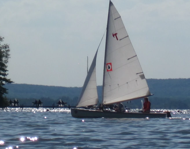 Sommerfeeling auf dem Steinhuder Meer Segelboot mit weißen Segeln gleitet über das glitzernde Wasser des Steinhuder Meers, ein idyllisches Sommerbild.