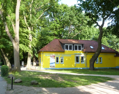 Außenansicht Schmetterlingsfarm und Insektenmuseum Ein gelbes Gebäude mit rotem Dach und mehreren Fenstern, eingebettet in einen grünen Park.