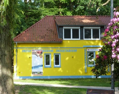 Schmetterlingsfarm und Insektenmuseum Ein gelbes Gebäude mit rotem Satteldach, umgeben von Bäumen und blühenden Pflanzen. Es zeigt das Insektenmuseum mit Schmetterlingsfarm.