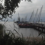Bootsverleih Kielhorn Am Ufer des Sees liegen Boote still am Steg, umgeben von friedlicher Natur unter einem bewölkten Himmel.