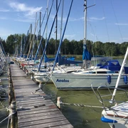 Steggemeinschaft Steg N17 + N18 - GbR Ein idyllischer Holzsteg am See mit zahlreichen, farbenfrohen Segelbooten, gesäumt von Bäumen.
