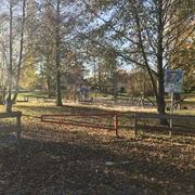 Spielplatz in herbstlicher Landschaft mit Schaukeln und Rutsche, umgeben von Bäumen und Grünfläche.