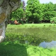 Naturbelassener Grillplatz am Schützenhaus Mardorf, umgeben von Bäumen und einem ruhigen Teich.