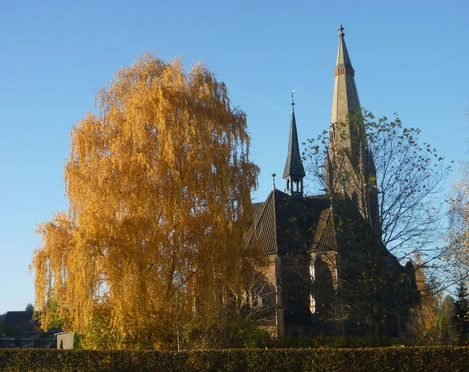 Hagenburg Kirche Herbsttag Eine herbstliche Ansicht der Hagenburger Kirche mit einem goldgelben Baum und strahlend blauem Himmel.