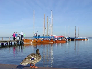 Steg Strandterrassen Boote im Hafen mit Menschen auf einem Steg beim Betrachten der friedlichen Wasserszene.