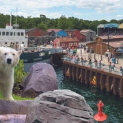 Erlebnis Zoo Hannover Eisbär im Zoo Hannover, vor Kulisse eines Hafenviertels mit bunten Gebäuden und einem Schiff.