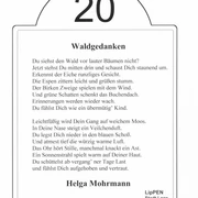 Lesestation 20 Diese Informationstafel beschreibt poetisch das Naturerlebnis im Wald und gehört zu einem Wanderweg.
