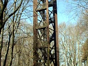 Hölzerner Aussichtsturm im Wald mit freiem Blick durch die Bäume auf den blauen Himmel.