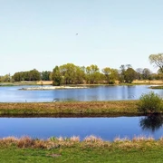 Weitläufige Wasserlandschaft mit Seen, umgeben von Wiesen und Bäumen unter strahlend blauem Himmel.