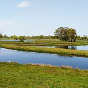 Steinhorster Becken Weite Wasserflächen und grüne Ufern im Steinhorster Becken, gesäumt von üppigem Baum- und Buschwerk.