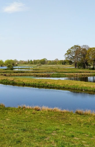 Steinhorster Becken Weite Wasserflächen und grüne Ufern im Steinhorster Becken, gesäumt von üppigem Baum- und Buschwerk.