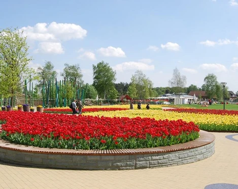 Ein weitläufiger Garten mit bunten Tulpenbeeten unter einem klaren, blauen Himmel im Frühling.