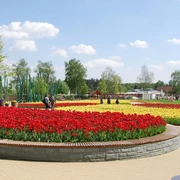 Gartenschaupark Rietberg Eingangsbereich Mitte/Historischer Stadtkern Ein weitläufiger Garten mit bunten Tulpenbeeten unter einem klaren, blauen Himmel im Frühling.