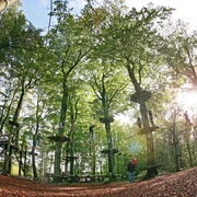 Herbsttag im Kletterpark Kletterpark im herbstlichen Wald, mit Seilbrücken und Plattformen zwischen hohen Bäumen unter blauem Himmel.