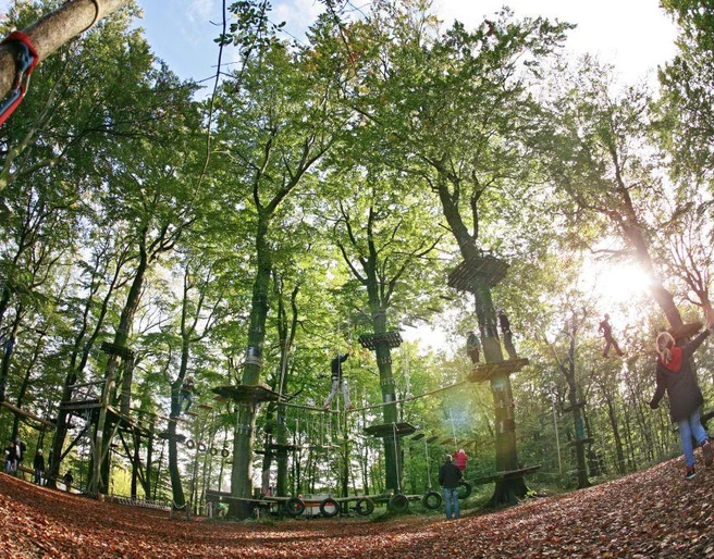 Herbsttag im Kletterpark Kletterpark im herbstlichen Wald, mit Seilbrücken und Plattformen zwischen hohen Bäumen unter blauem Himmel.