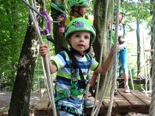 Kletterpark am Hermannsdenkmal Kind im lila Klettergurt auf Kletterparkseilbahn; Washingtonia Natur, konzentrierter Gesichtsausdruck.