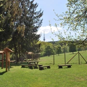 Wildgehege Willebadessen Ein weitläufiges Wildgehege mit Holzbänken, Informationstafeln, grünem Gras und Bäumen im Vordergrund.
