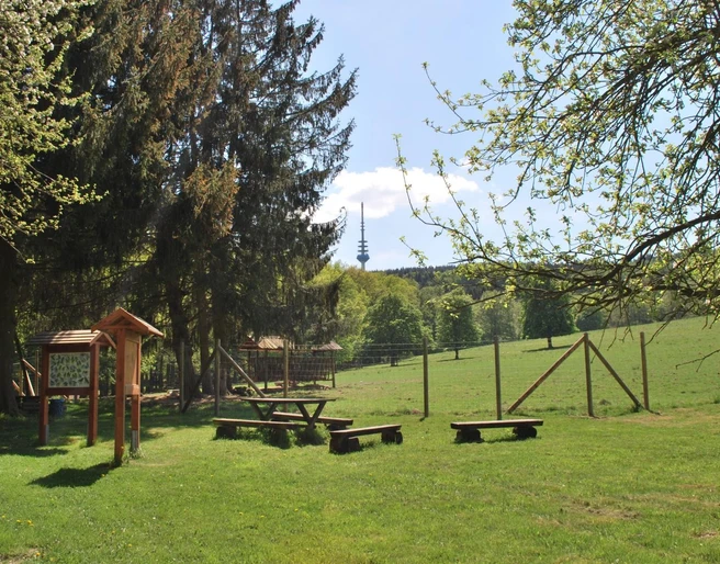 Wildgehege Willebadessen Ein weitläufiges Wildgehege mit Holzbänken, Informationstafeln, grünem Gras und Bäumen im Vordergrund.
