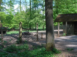Wildgehege in Willebadessen Wildgehege mit eingezäuntem Areal, Baum und Unterstand, umgeben von dichtem, grünen Wald.