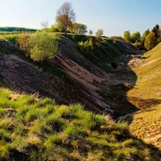 Erlesene Natur: Die Bleikuhlen bei Blankenrode Naturschutzgebiet mit grasbewachsenen Hügeln und einer von Bäumen gesäumten, sanft abfallenden Senke.