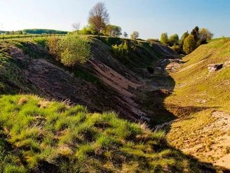 Erlesene Natur: Die Bleikuhlen bei Blankenrode Naturschutzgebiet mit grasbewachsenen Hügeln und einer von Bäumen gesäumten, sanft abfallenden Senke.