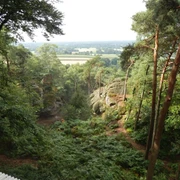 Blick von der Aussichtsplattform an den Dörenther Klippen Aussichtsplattform an den Dörenther Klippen mit weitem Blick über bewaldete Landschaft und Felsen.