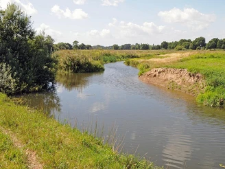 Steilufer Sanft geschwungener Flusslauf mit dichtem Grün, darüber blauer Himmel mit weißen Wolken.
