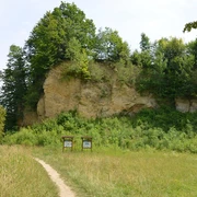 NSG Doberg Waldige Felswand im Naturschutzgebiet Doberg, umgeben von dichter Vegetation und Wiesenpfad.