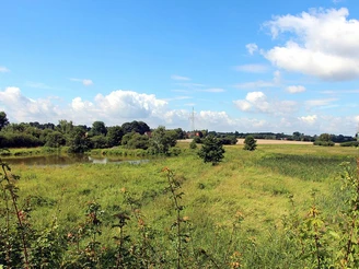 Naturschutzgebiet Enger Bruch mit grüner Wiese, Teich, Bäumen und weitem Himmel unter Wolken.