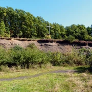 Spatzenberg Holzweg durch eine grasbewachsene Lichtung, umgeben von grünem Wald und einem Holzkreuz.
