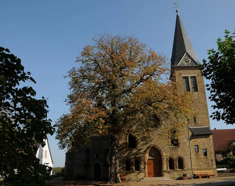 Eine mittelalterliche Kirche mit hohem Turm und großer, bunter Baumkrone im Vordergrund.