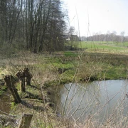 NSG Rehmerloh-Mennighüffer- Mühlenbach Wald und Feld umgeben einen ruhigen Teich im Naturschutzgebiet Rehmerloh-Mennighüffer Mühlenbach.