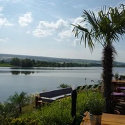 Freizeitanlage Godelheim mit Strandbar Palmen und Holzmöbel an einem Seeufer mit bewölktem Himmel und einer Liegewiese im Hintergrund.