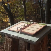 Naturbuch zwischen Elbrinxen und Rischenau Stehendes Holzbuch vor herbstlicher Waldkulisse, umgeben von goldenen Blättern und Sonnenlicht.