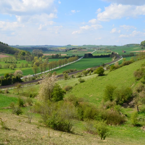 Blick von der Landschaftsliege Ottbergen Panoramablick über sanfte grüne Hügel, blühende Bäume und ein Weidegebiet bei Ottbergen, Niedersachsen.
