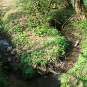 Ein kleiner Bach fließt durch eine grüne, bewachsene Landschaft mit Bäumen und Sträuchern.