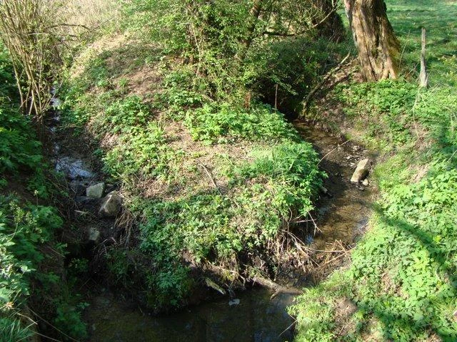 Ein kleiner Bach fließt durch eine grüne, bewachsene Landschaft mit Bäumen und Sträuchern.