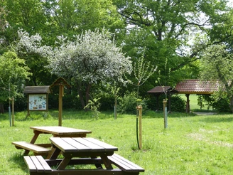 Streuobstwiese am Moorbahnhof in Westerbeck in der Südheide Gifhorn Streuobstwiese mit Sitzbänken am Moorbahnhof in Westerbeck in der Südheide Gifhorn