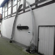 Walkiefer im Steinweg Walkiefer an einer Wand in einer Seitenstraße der Gifhorner Innenstadt