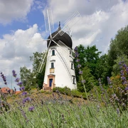 Gifhorner Hochzeitsmühle Lady Devorgilla Blick auf die weiße Hochzeitsmühle Lady Devorgilla in Gifhorn